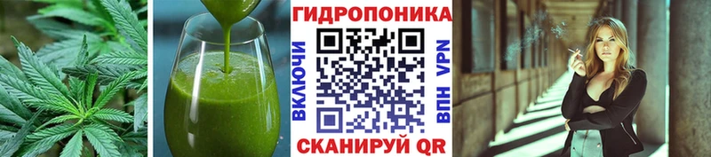 Canna-Cookies марихуана  omg онион  Топки 