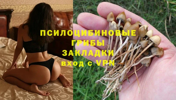 синтетический гашиш Алексин