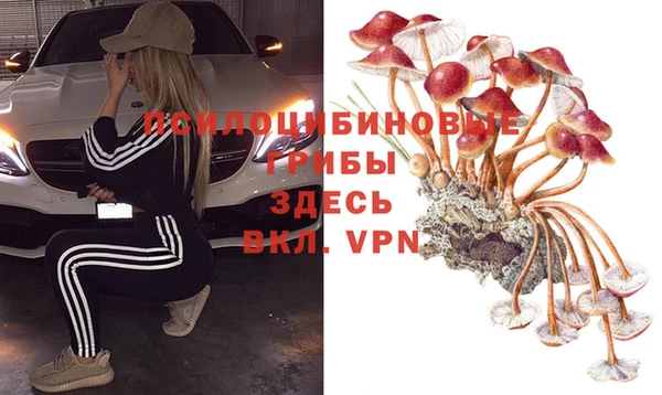 дурь Алзамай