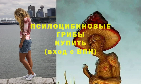 a pvp Алексеевка